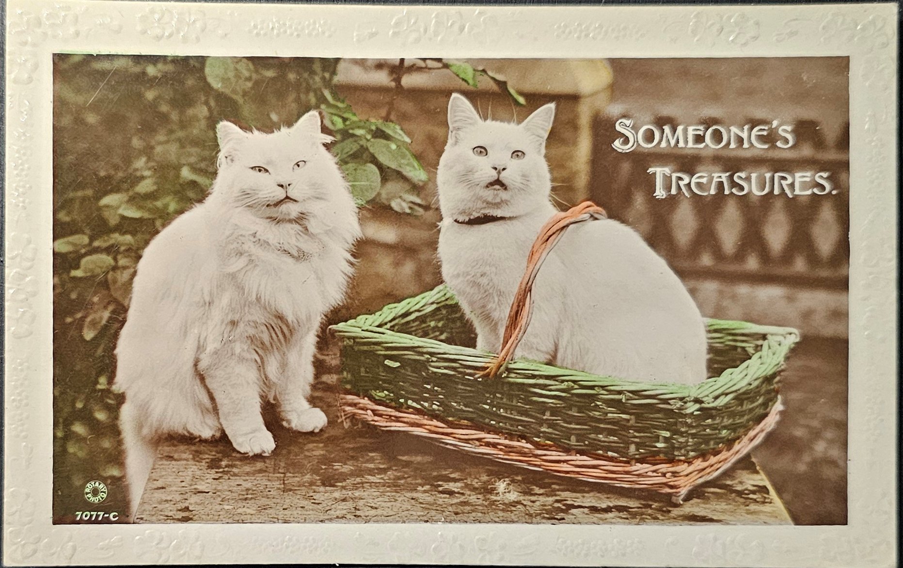 (image for) CAT-b4_50s-0065