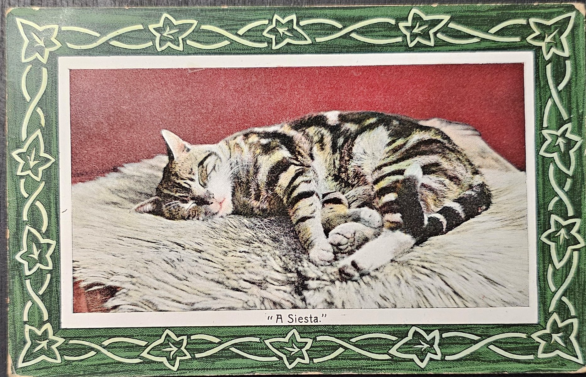 (image for) CAT-b4_50s-0066