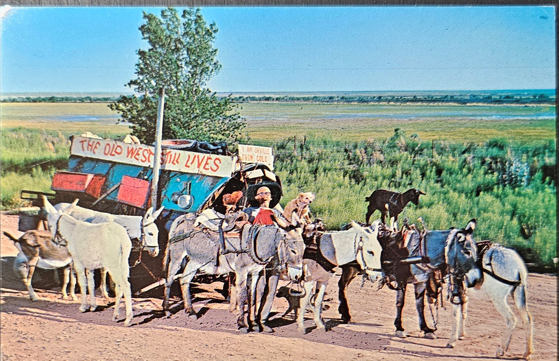 postcard Miscellaneous #0029 (image for) postcard Miscellaneous #0029