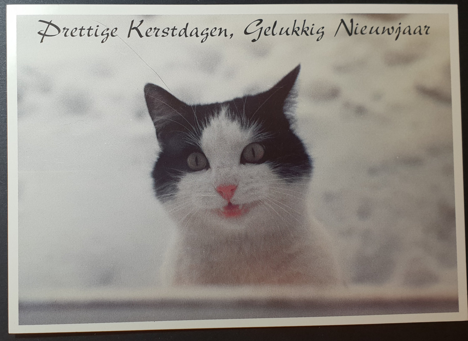 (image for) postcard X-mas #0001