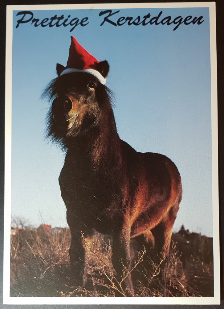 (image for) postcard X-mas #0002