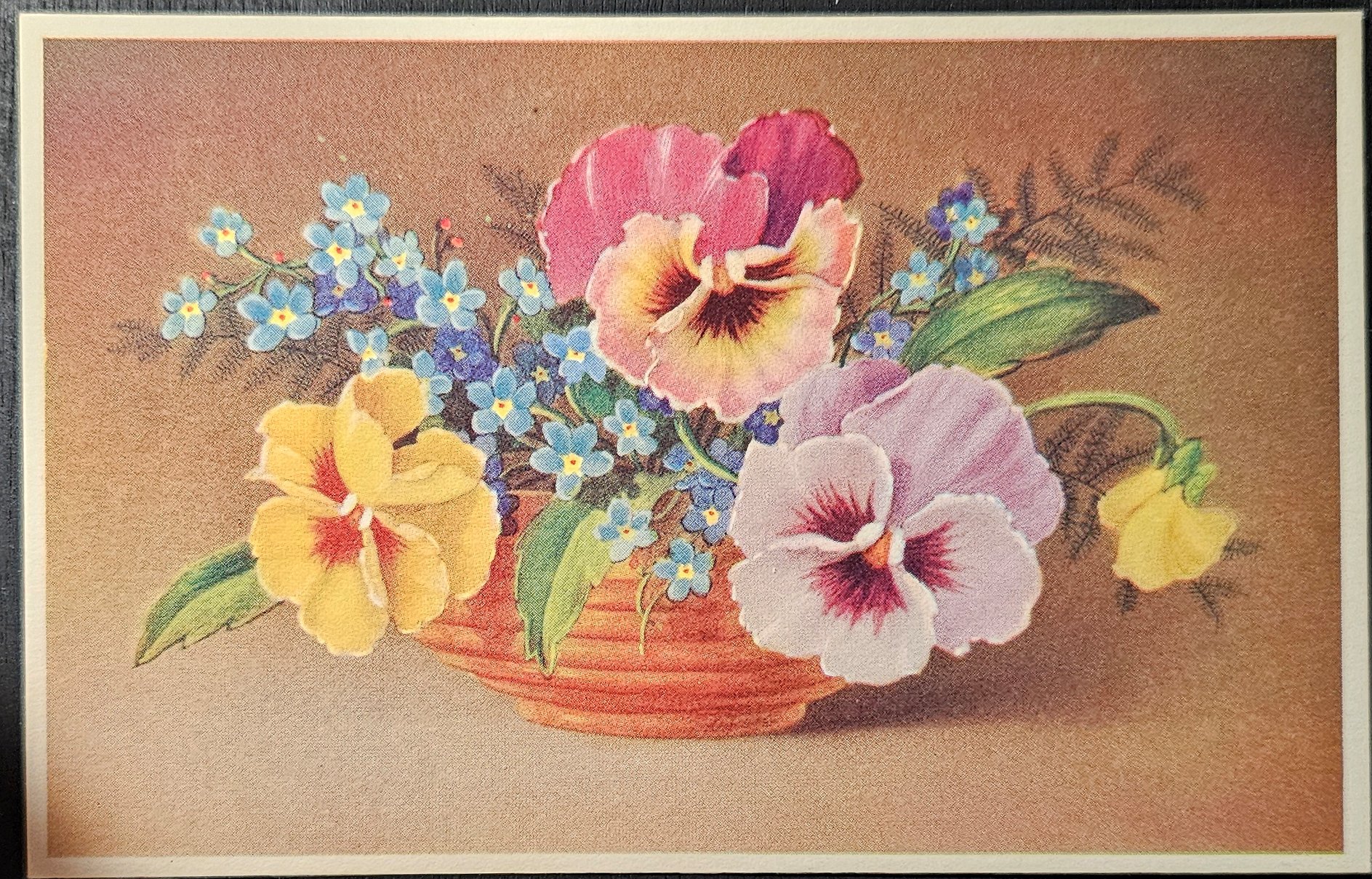 (image for) postcard subject: Flowers #0002