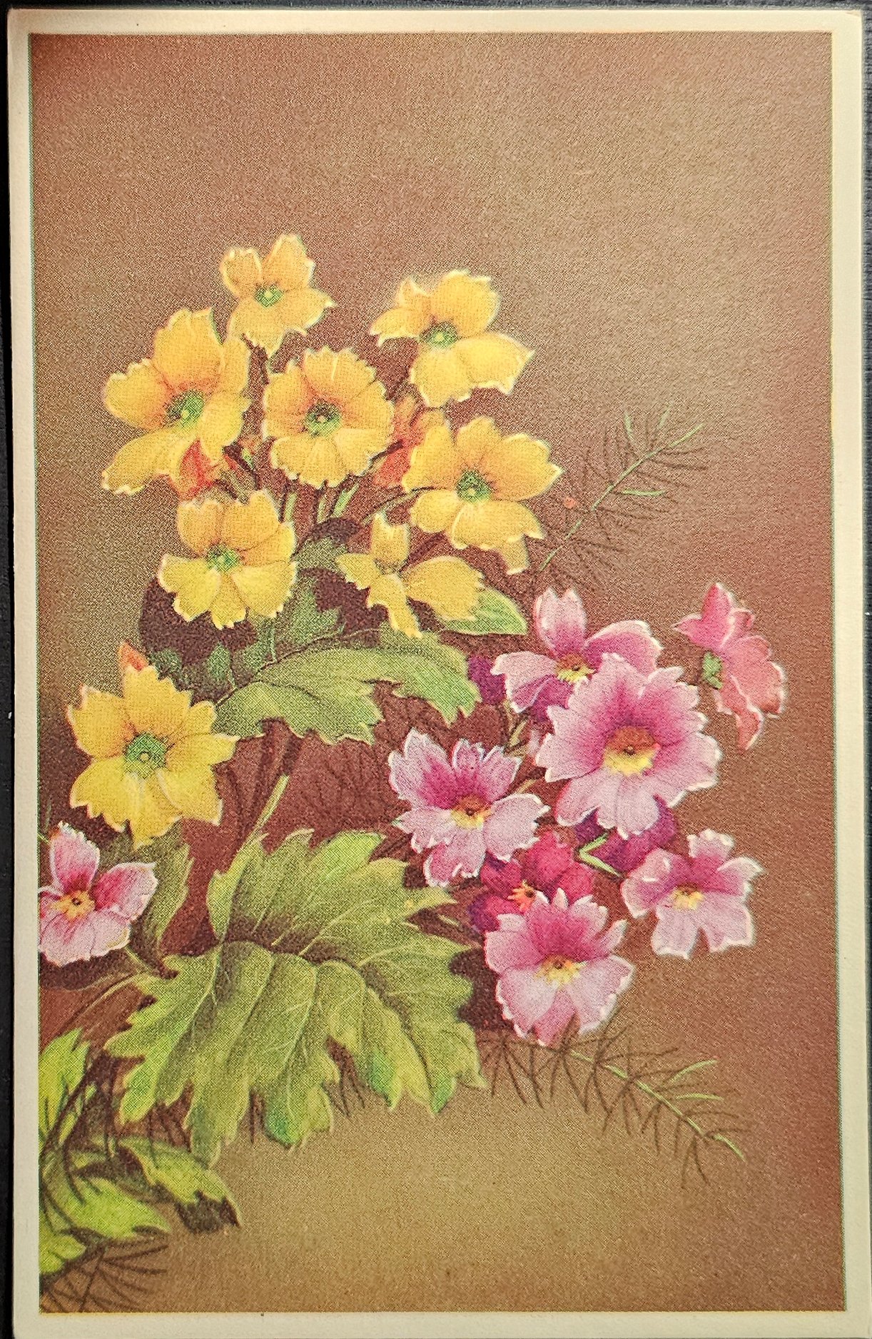 (image for) postcard subject: Flowers #0003