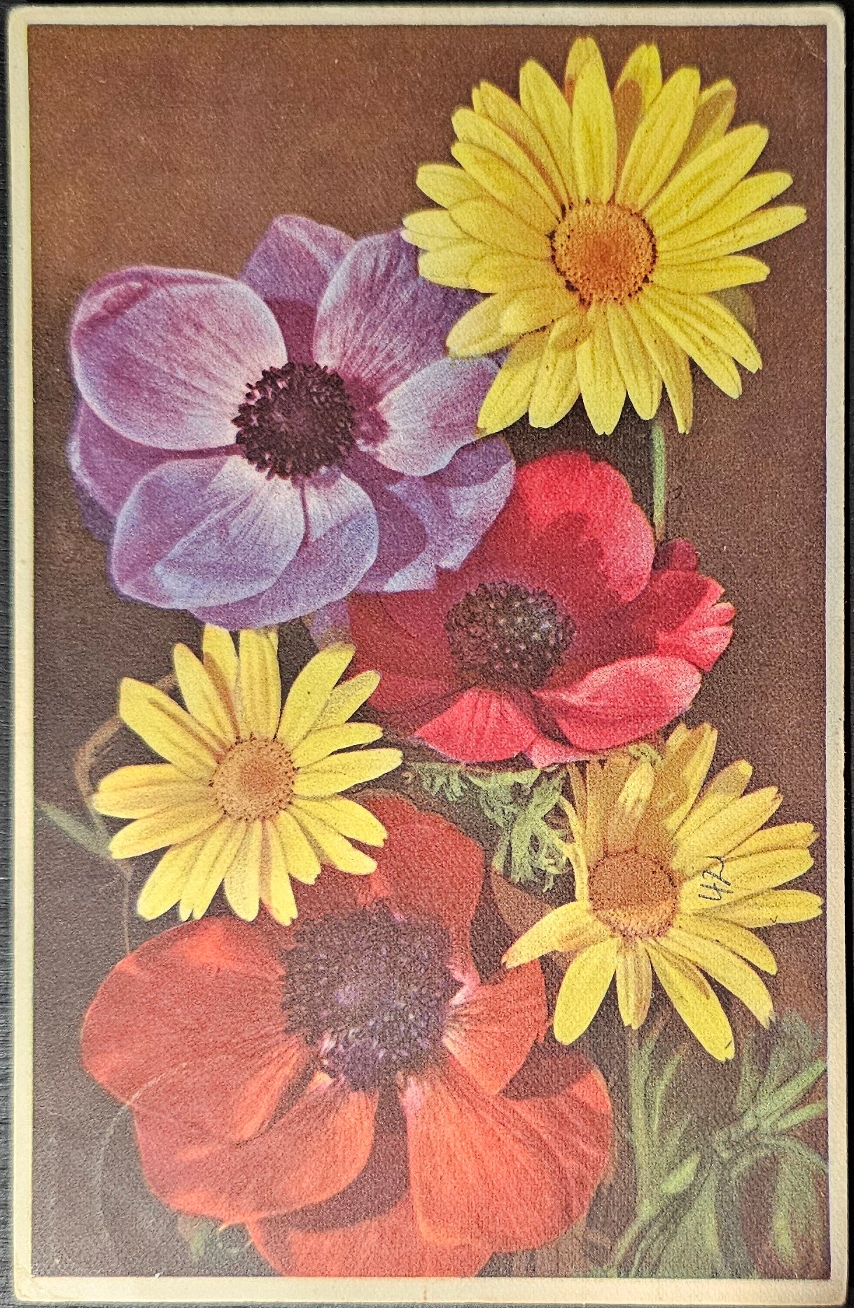 (image for) postcard subject: Flowers #0004
