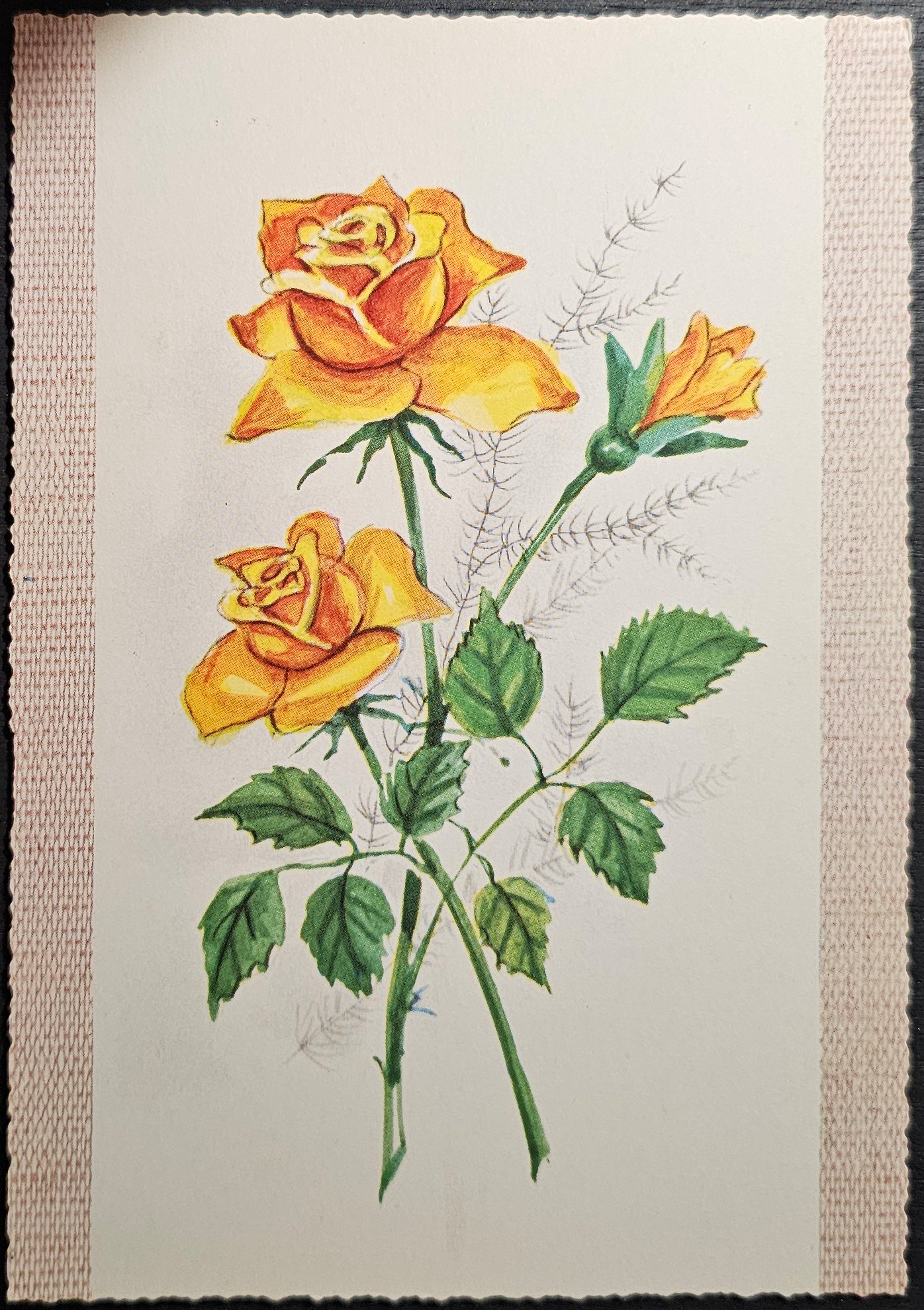 (image for) postcard subject: Flowers #0005