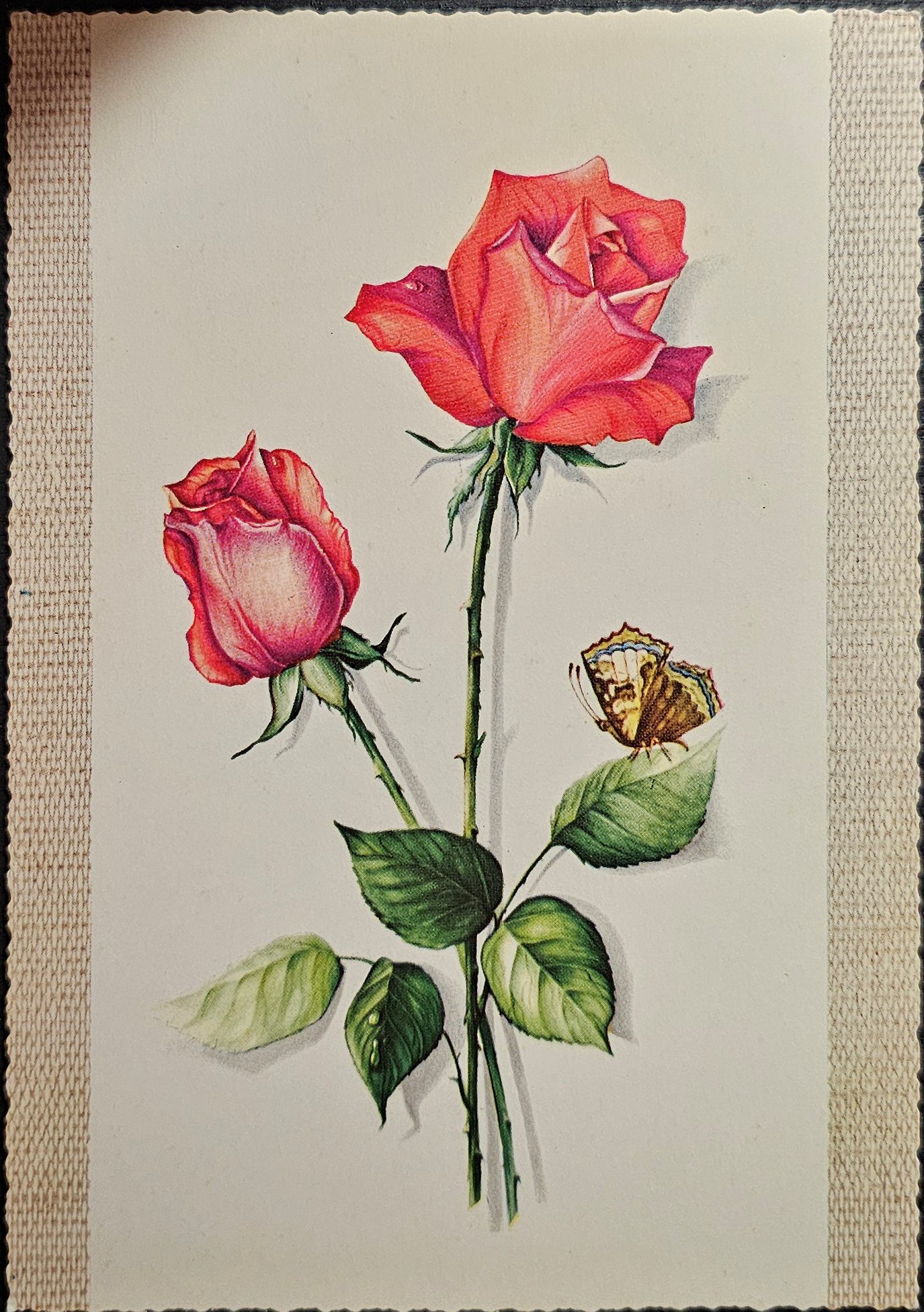 (image for) postcard subject: Flowers #0006