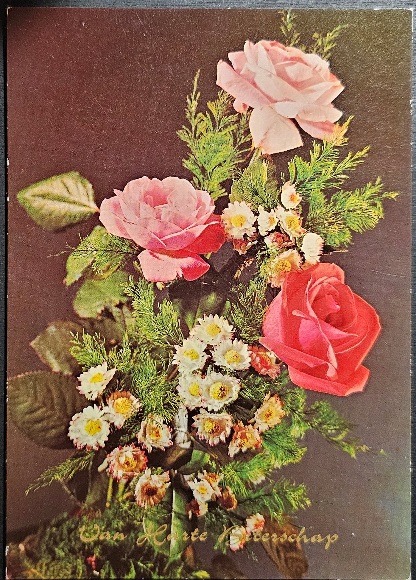 (image for) postcard subject: Flowers #0008