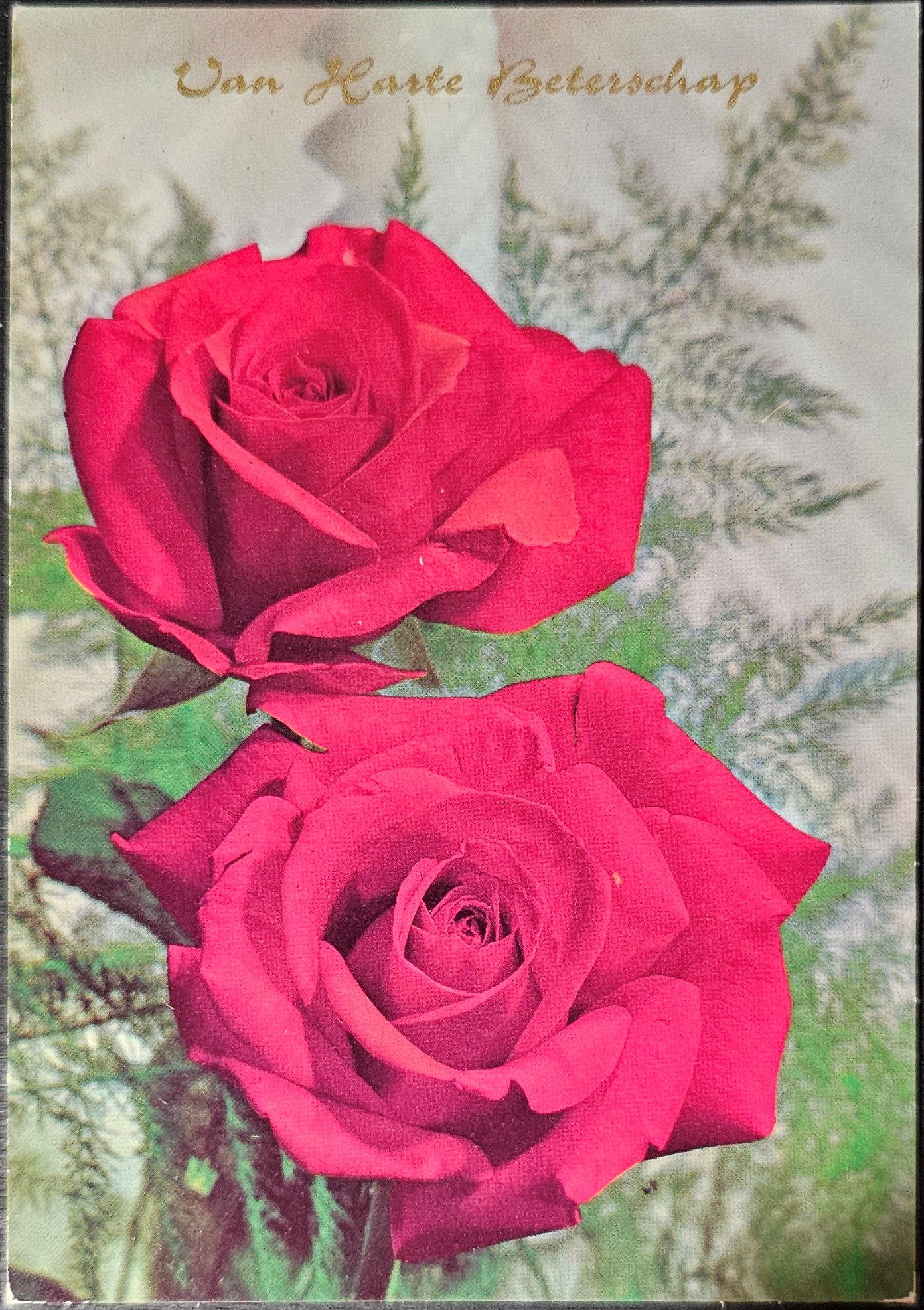 (image for) postcard subject: Flowers #0012