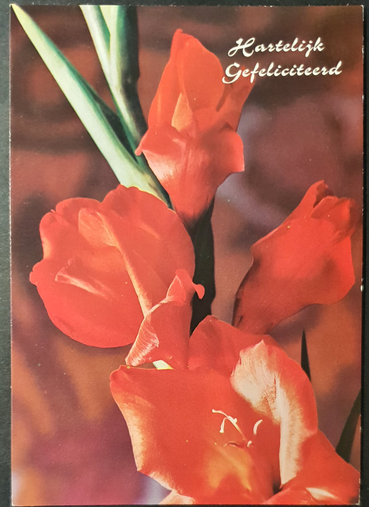 (image for) postcard subject: Flowers #0014