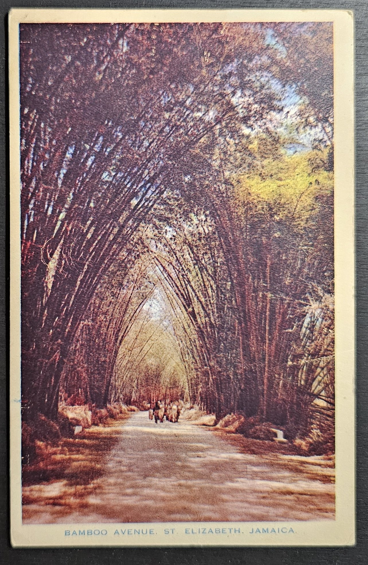 postcard Caribbean - Jamaica #0001 (image for) postcard Caribbean - Jamaica #0001