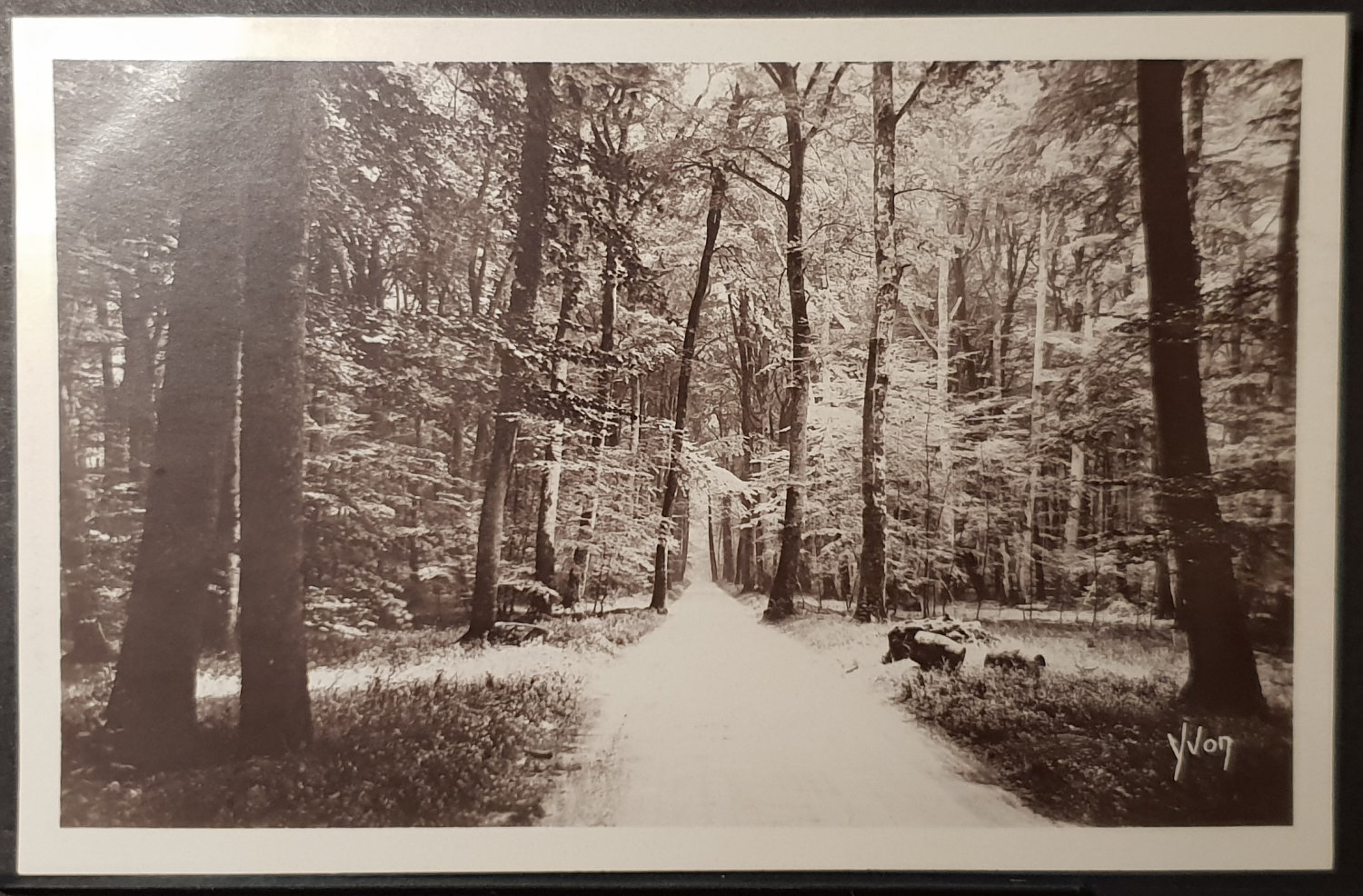 (image for) postcard France #0083