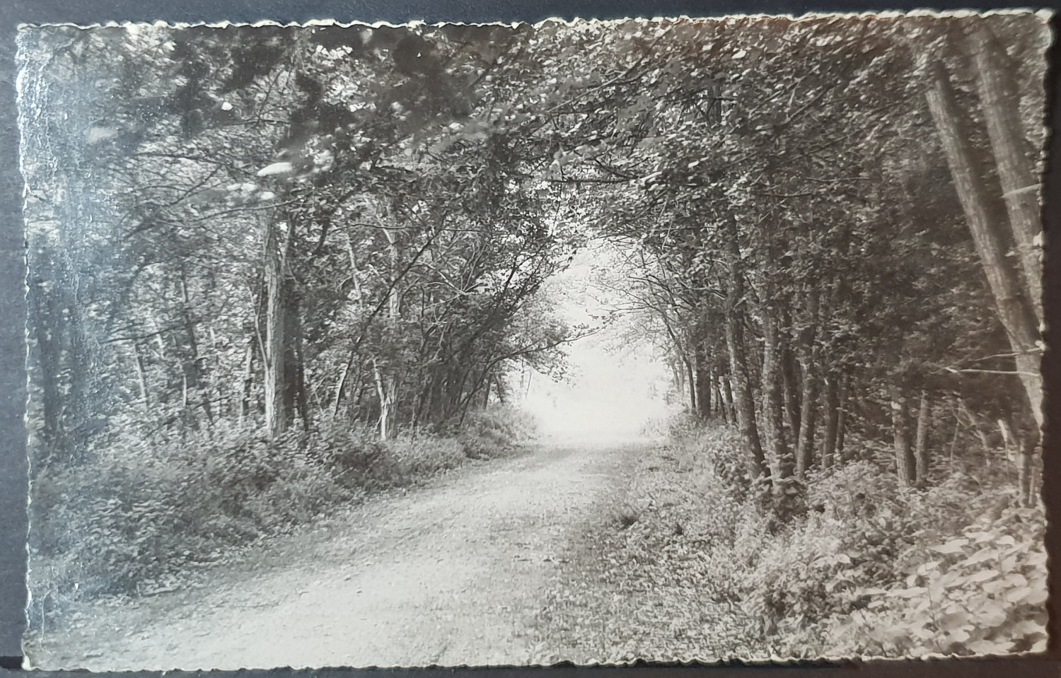 (image for) postcard France #0092