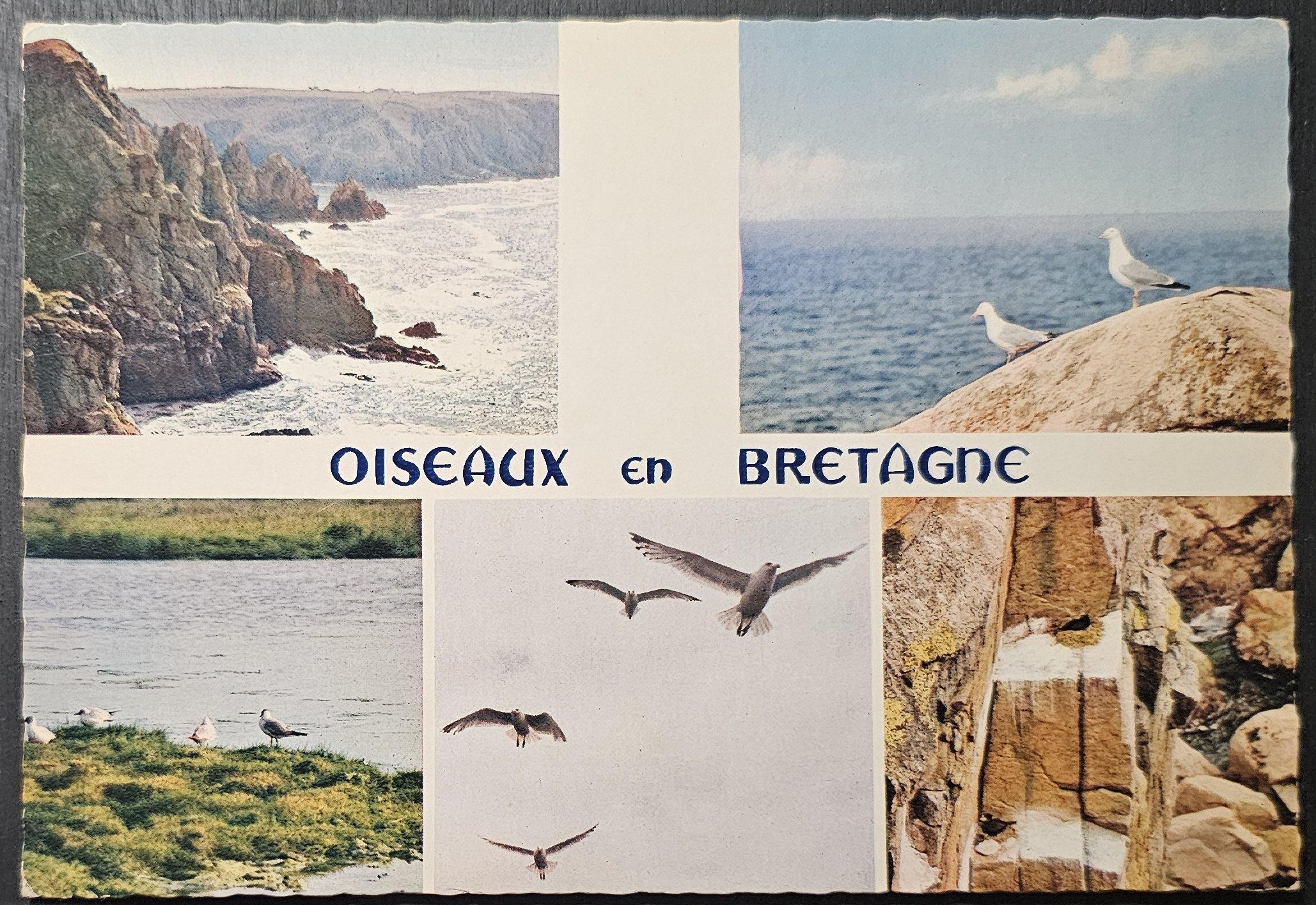 (image for) postcard France #0124