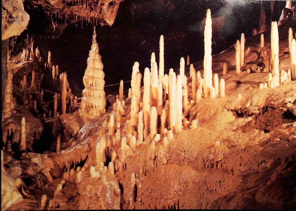 (image for) postcard Germany #0108