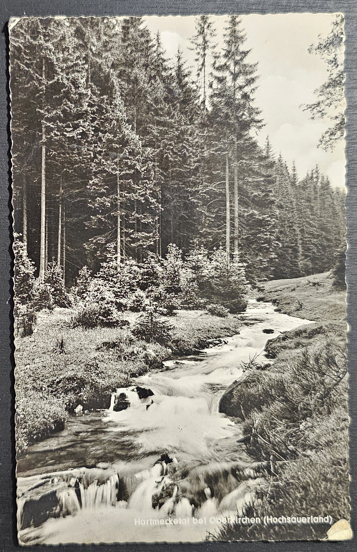 (image for) postcard Germany #0234