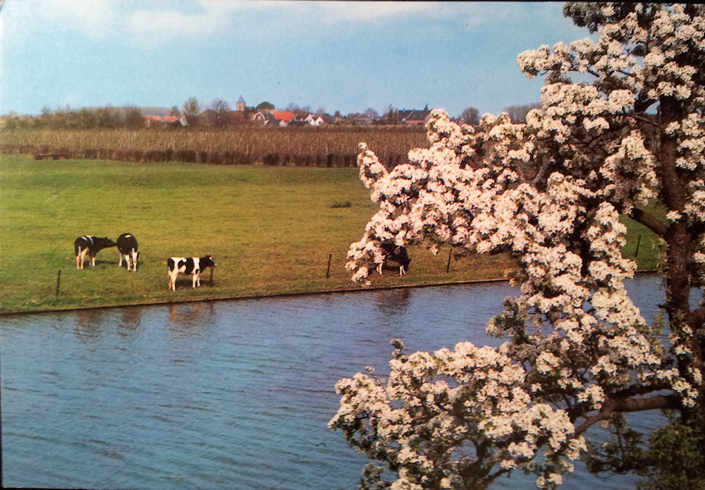 (image for) postcard Netherlands #0018