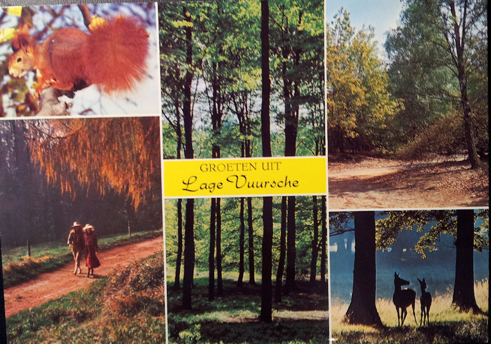 (image for) postcard Netherlands #0037