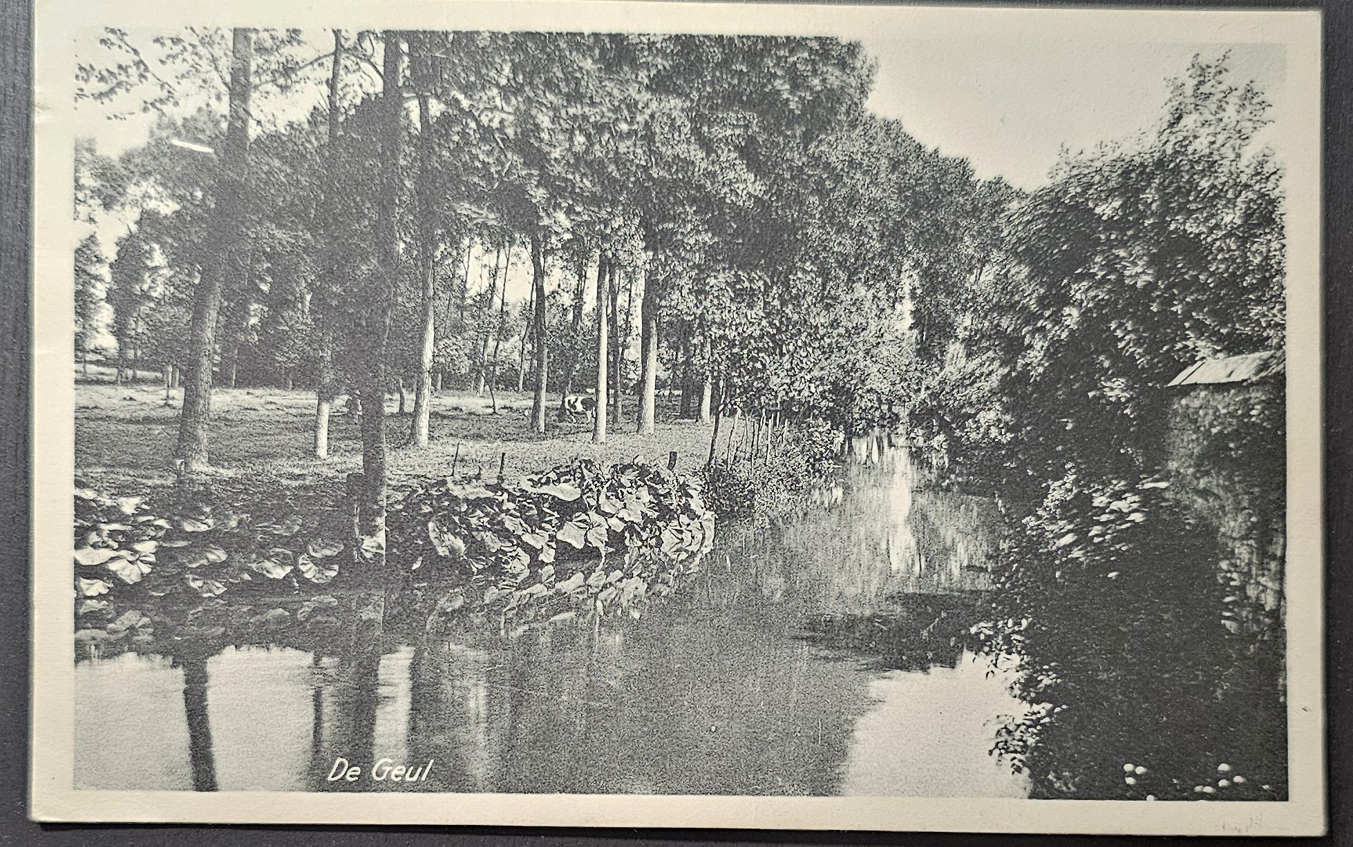 (image for) postcard Netherlands #0062