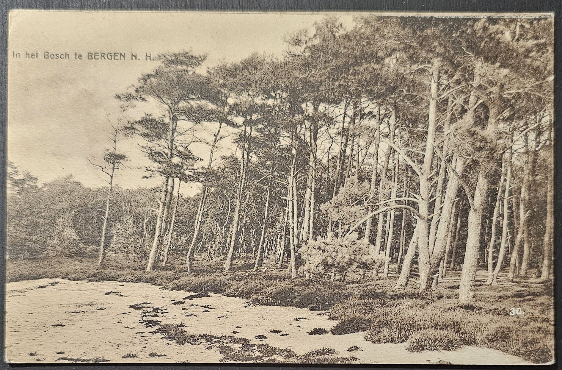 (image for) postcard Netherlands #0063