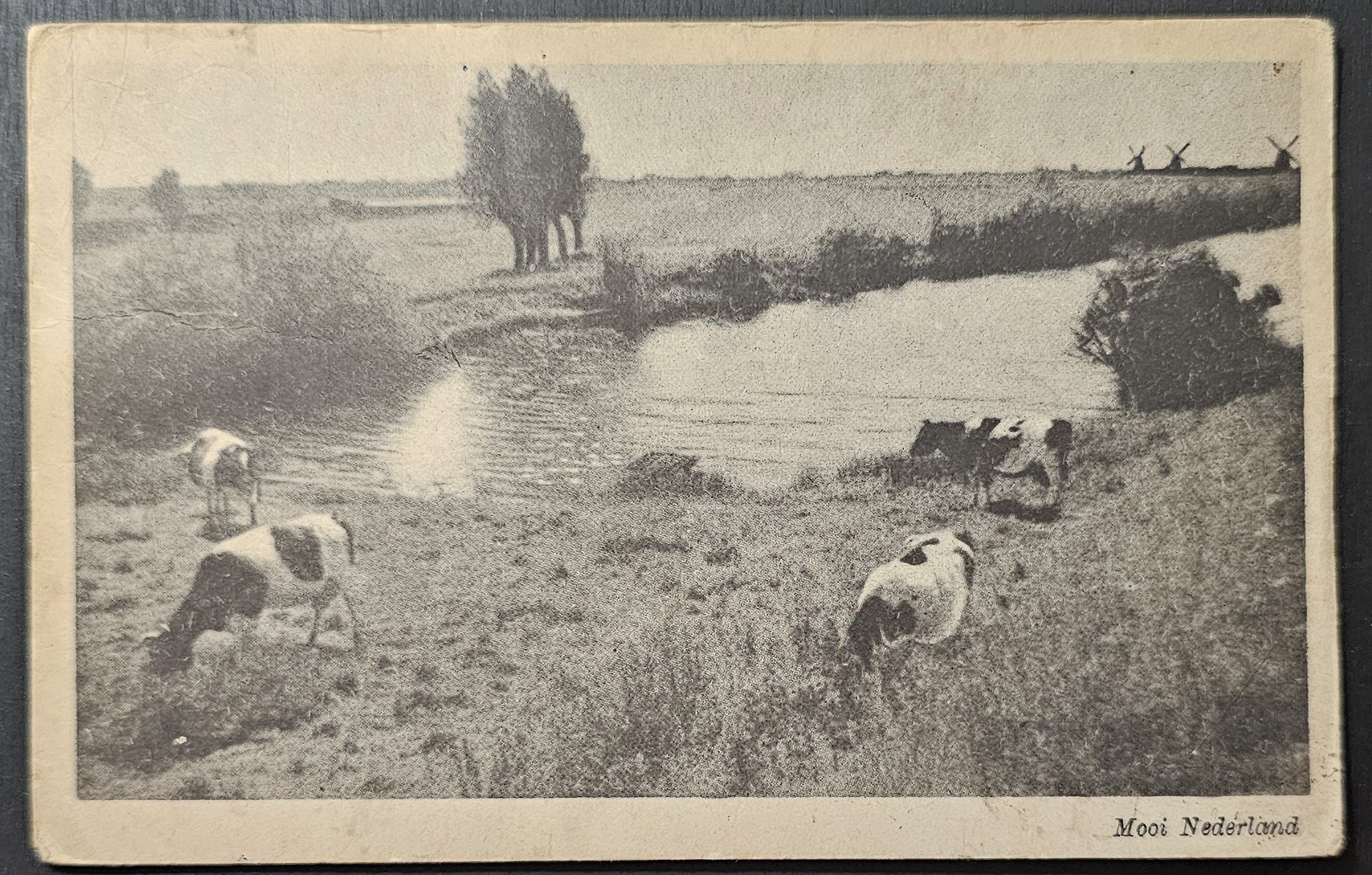 (image for) postcard Netherlands #0074