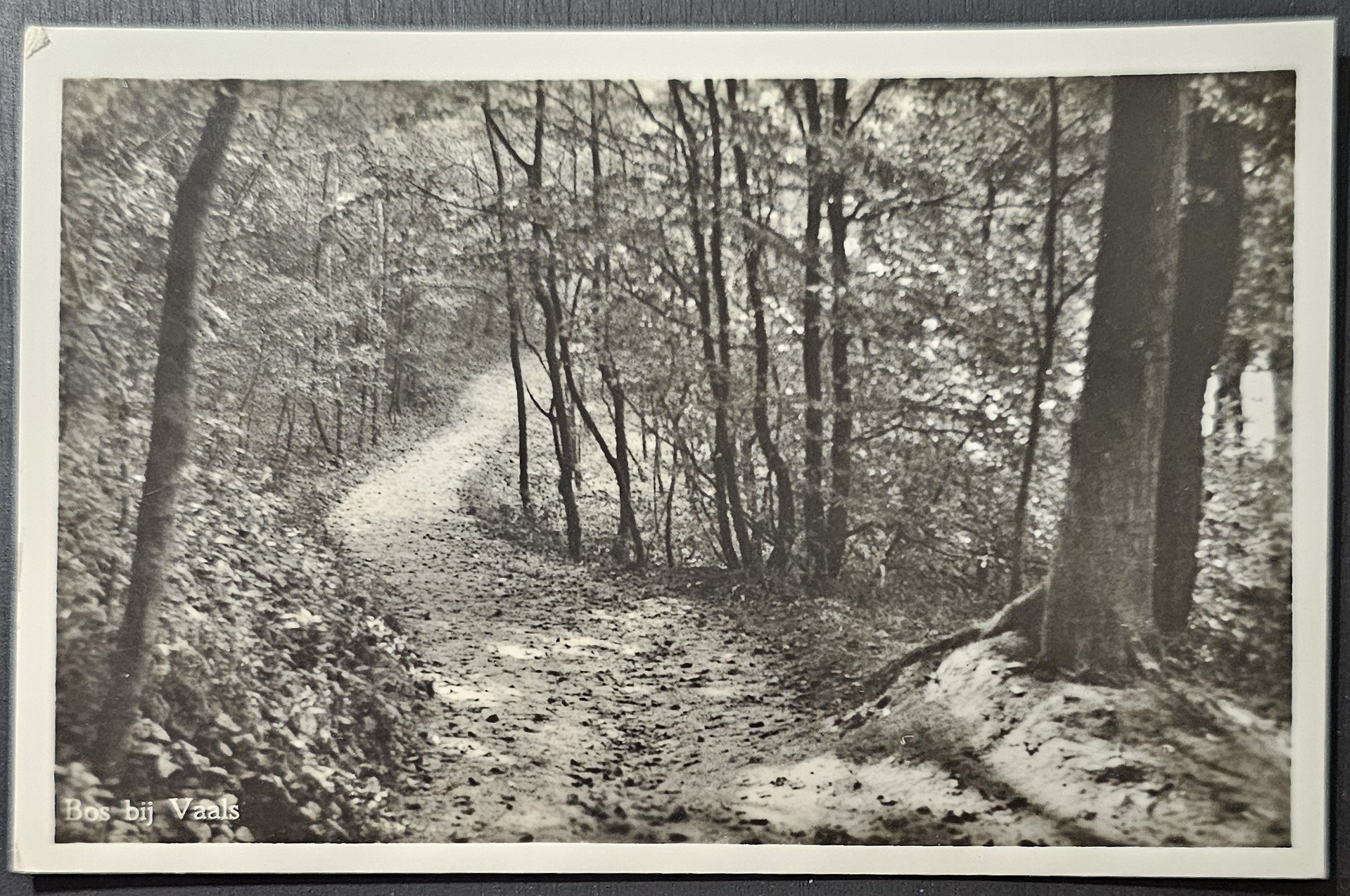 (image for) postcard Netherlands #0076