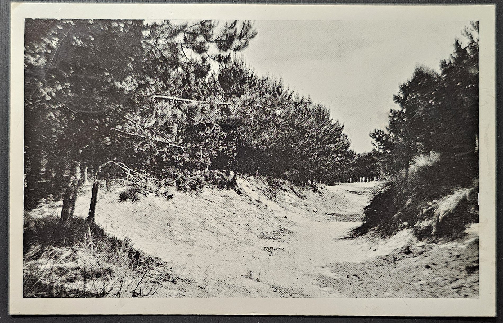 (image for) postcard Netherlands #0118