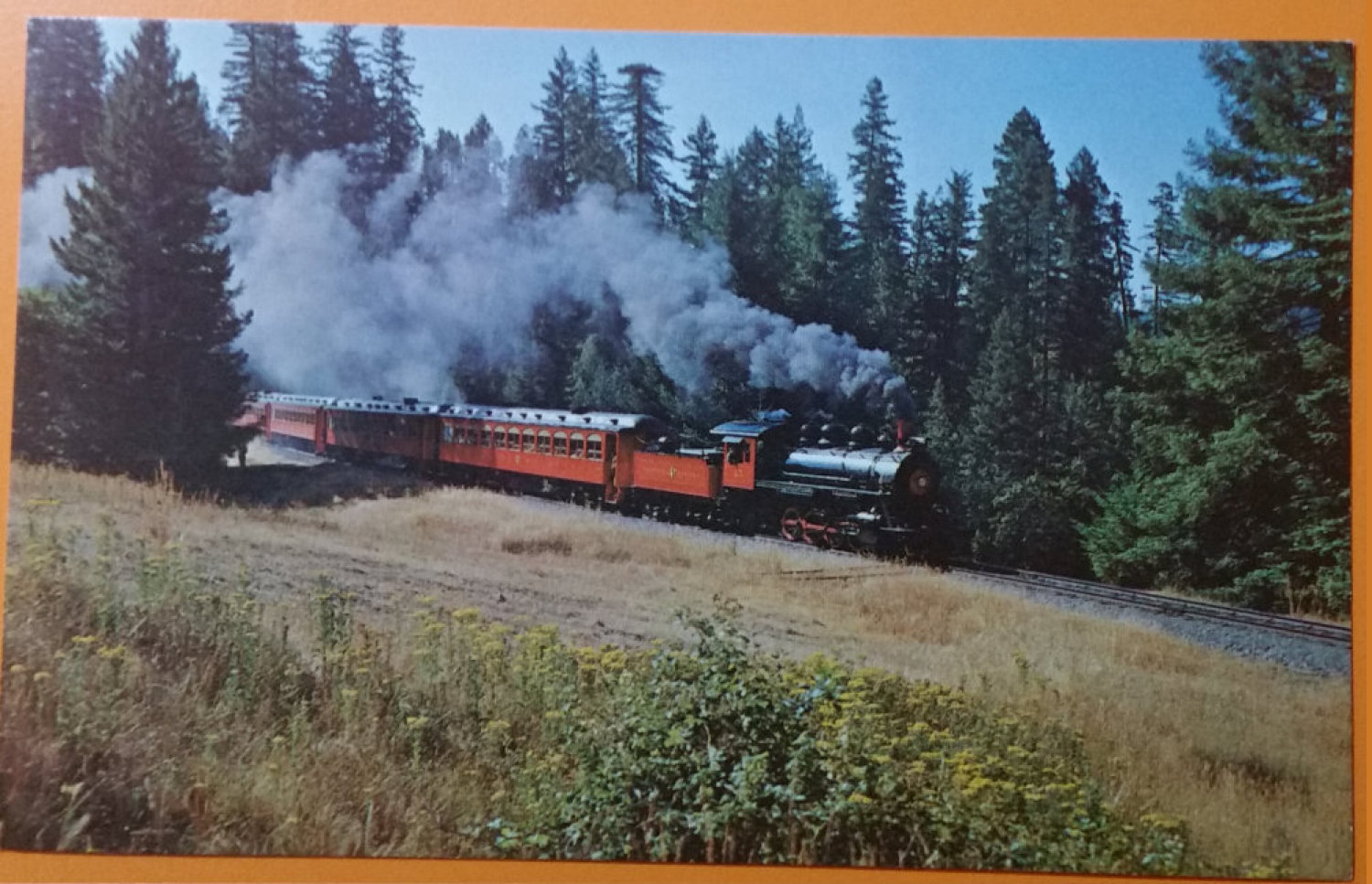 (image for) postcard TRAIN #0013
