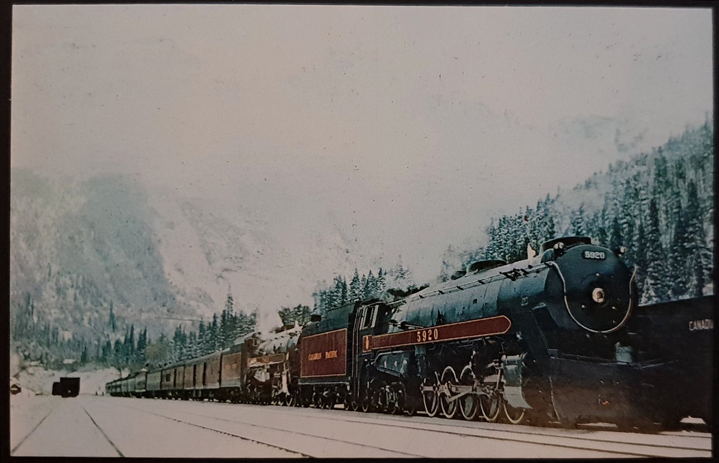 (image for) postcard TRAIN #0017